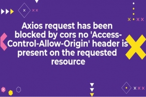 access control allow origin header axios